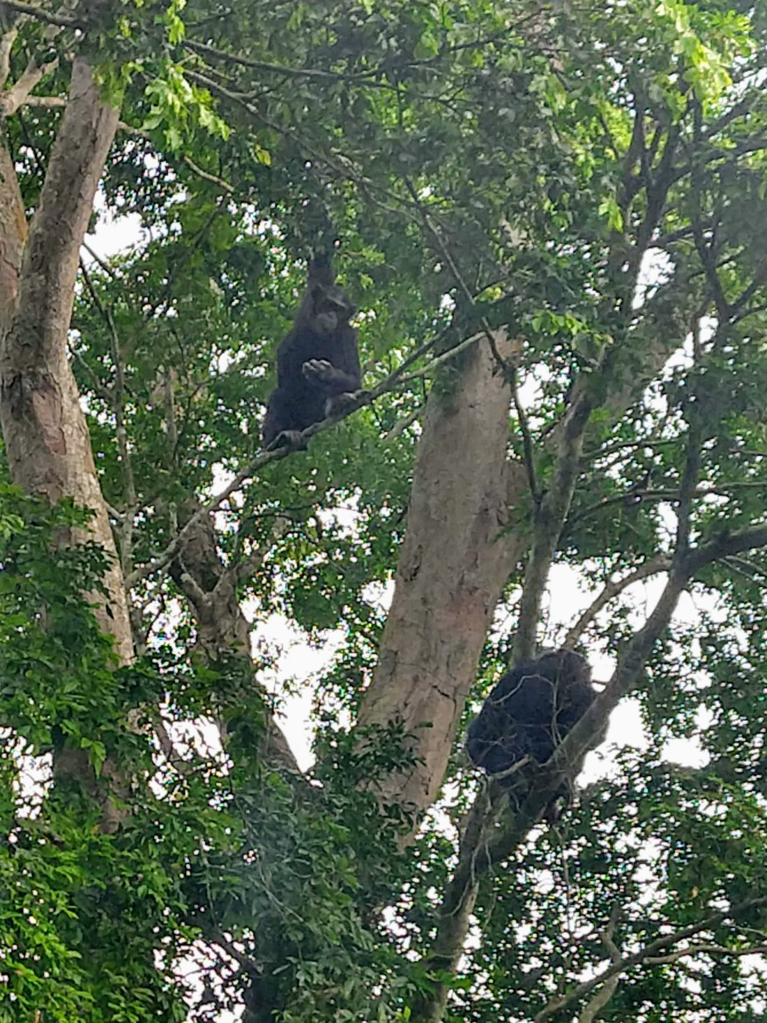 IMG_20190731_094702759_HDR