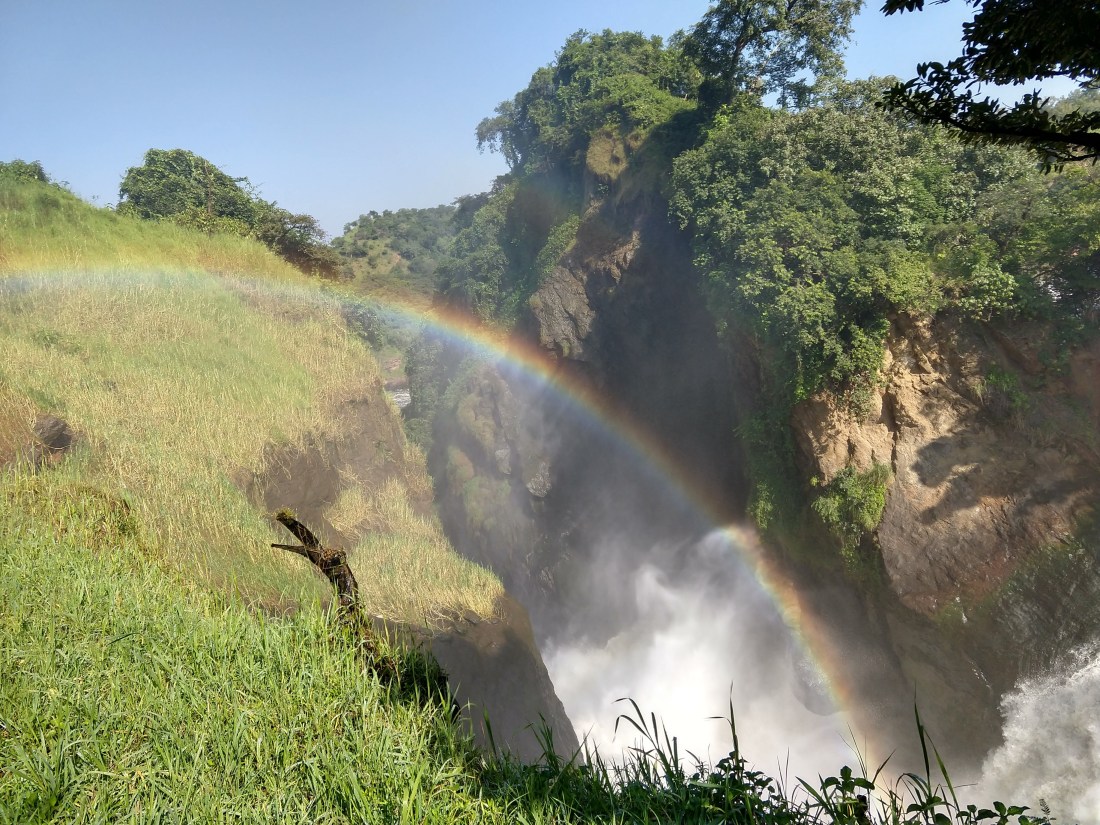 IMG_20190803_094415668_HDR